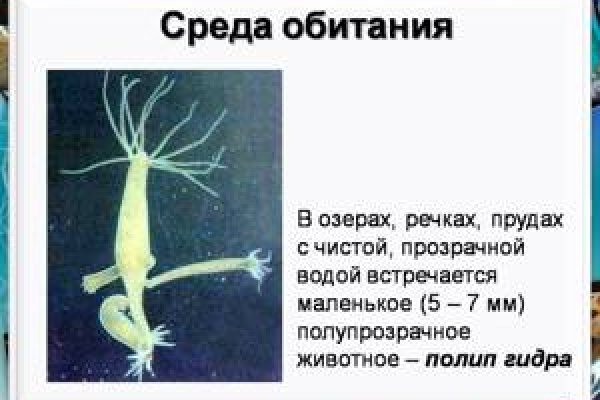 Kraken сайт kraken torion