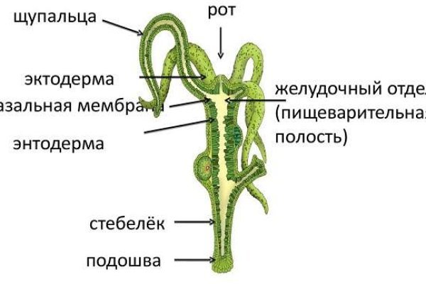 Кракен маркетплейс официальный сайт сайт ссылка