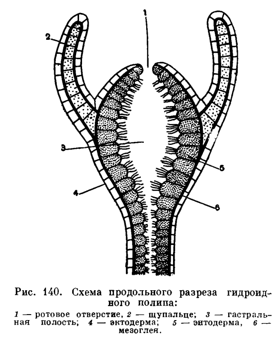 Kraken купить клад