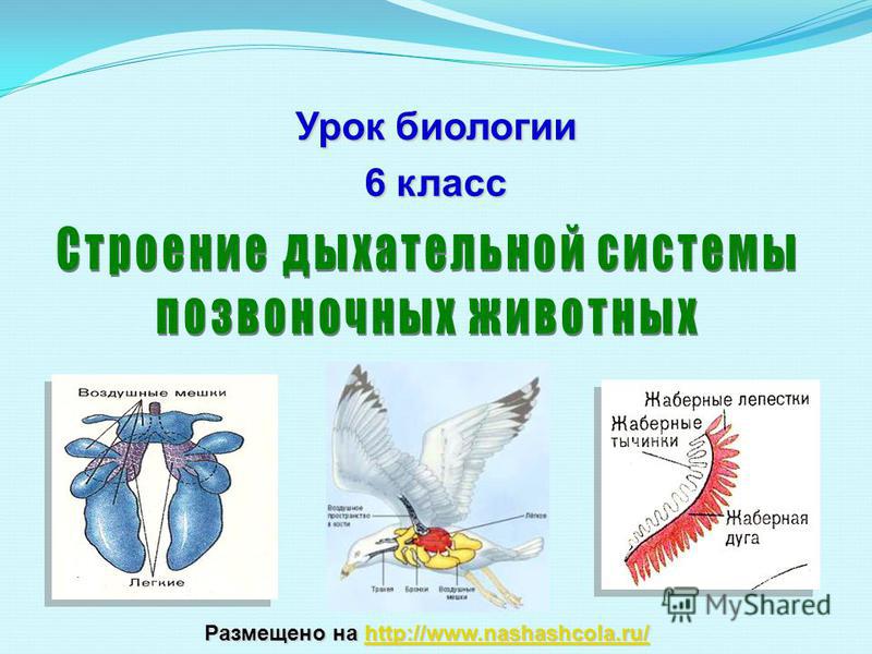 Ссылка на кракен 2krnmarket